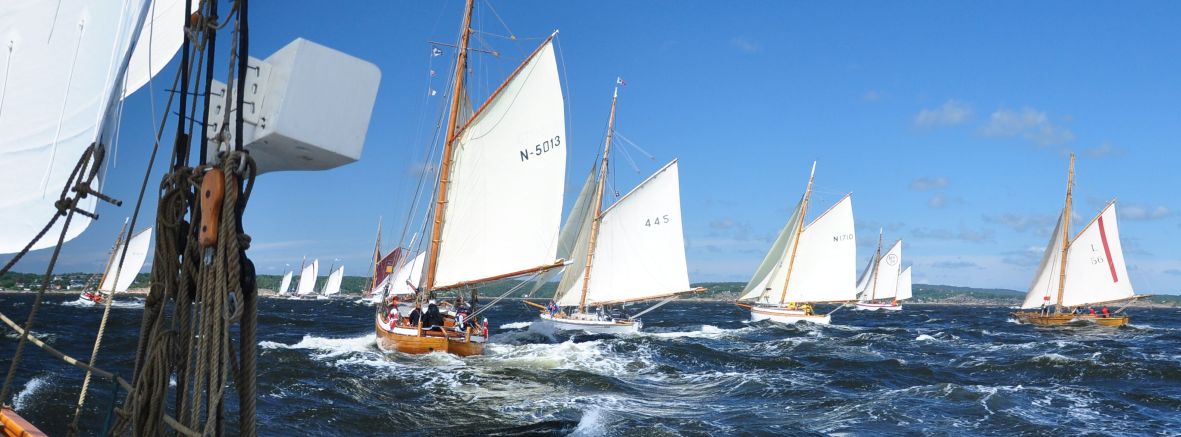 Regatta